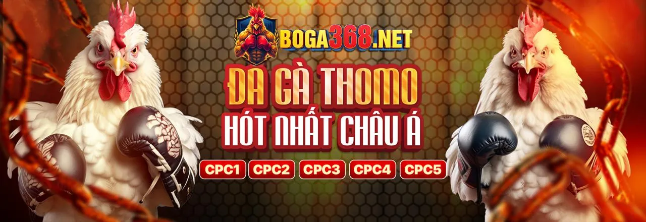 Sân đấu gà trực tuyến bj8888