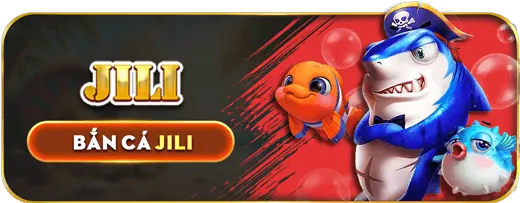 Bắt đầu trải nghiệm